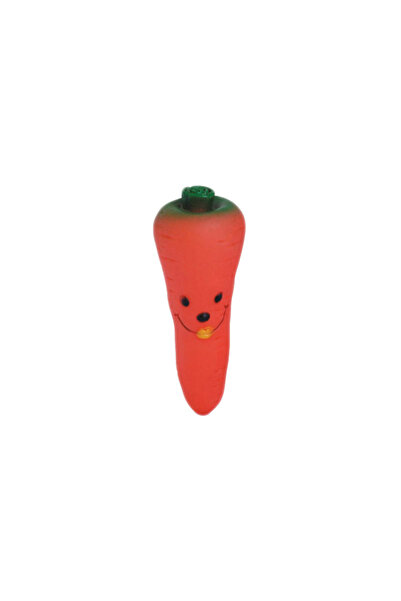 BIOTUR PET JUCARIE PENTRU CAINI MORCOV 20x5CM