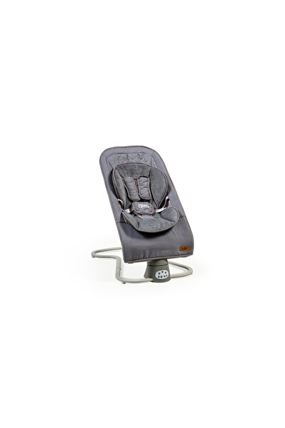 Baby2Go Poddle Elektrikli Anadizi