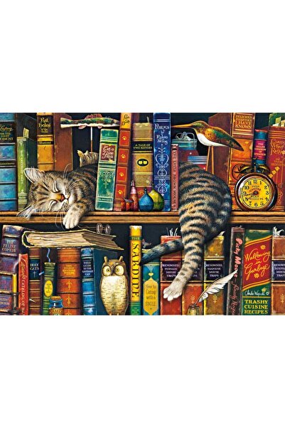 Schmidt Puzzle 1000 piese Spiele - Frederick the Literate (Schmidt-59991)