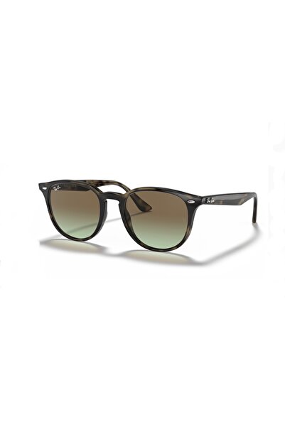 Ray-Ban Ray Ban RB4259 731/E8 51 güneş gözlüğü
