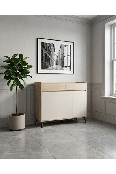 on home Shoe Cabinet 3 Doors