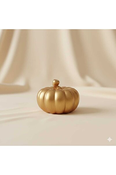 GeaTiful Dekoratif Minimal Pumpkin Balkabağı