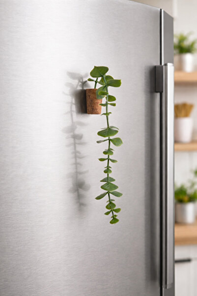 RetroNaut Magnetic Mini Potted Eucalyptus with Mushrooms |   Decorative Artif...