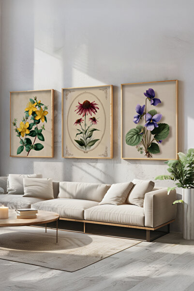 STARYUNA Wooden Framed Vintage Floral Illustration Triple Painting Set Ucyuna572