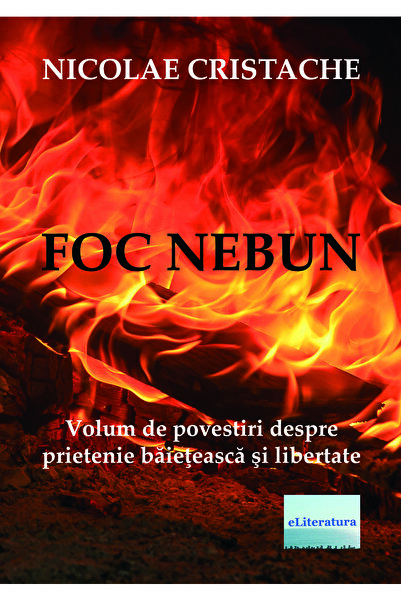 Editura eLiteratura Foc nebun