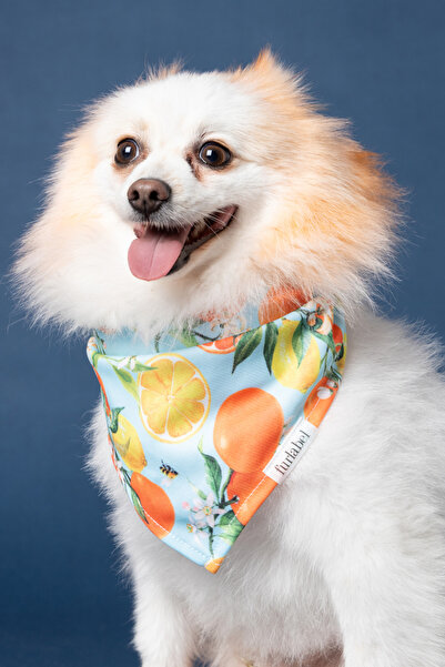 Meyve Desenli Kedi-Köpek Bandana/Fular