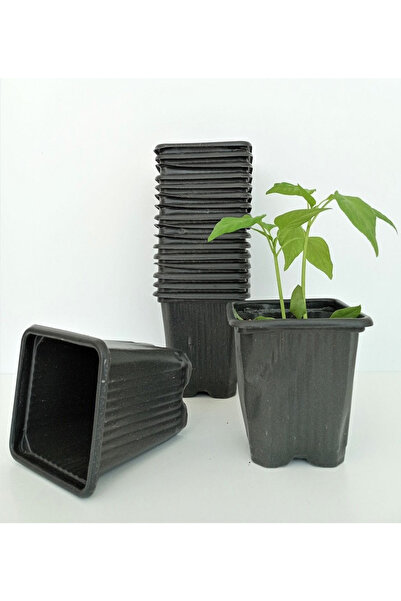 AGROERA Plant Nutrition Kare Saksı 9x9x10 Cm 30 Adet Kare Vakum Saksı Üretim ...