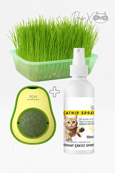 PawX Doğal Fileli Kedi Çimi Seti Avokado Catnip Oyuncağı ve Catnip Oyun Sprey...