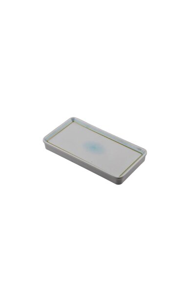 Globy Rectangular Presentation Plate 25.5×13.5×3 cm