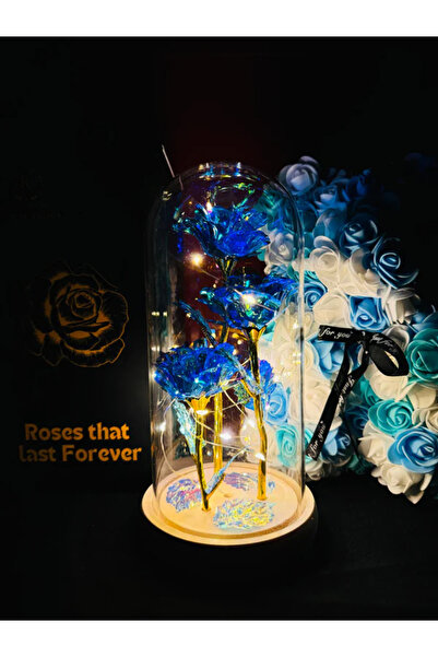 MyRavadino ™   3 рози в стъклен купол с LED светлини, 22 см, сини