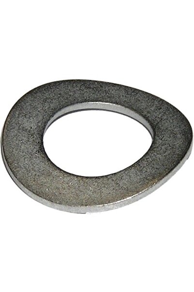 DRESSELHAUS Șaibe elastice curbate 10mm Din137b Oțel galvanizat, 100 bucăți