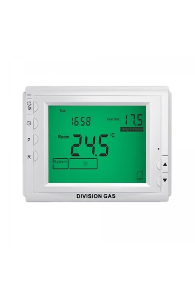 Division Gas Termostat ambiental programabil DG909