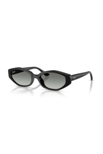 Ray-Ban Ray Ban RB4473D 667711 56 güneş gözlüğü