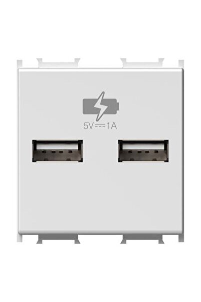 TEM Priză cu 2xUSB, 5V, 12A, 2m, Alb