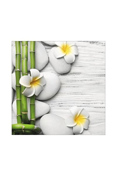 canvas Pictură pe sticlă Flori Pietre Bambus I 30x30 Cm