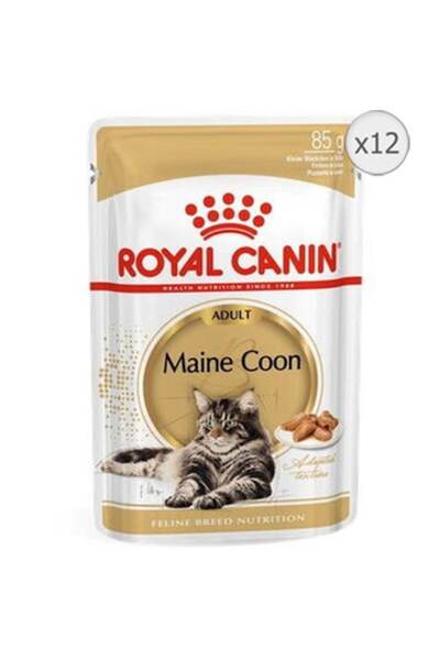 Royal Canin Hrană umedă pentru pisici adulte Maine Coon (în sos), 12 x 85 g