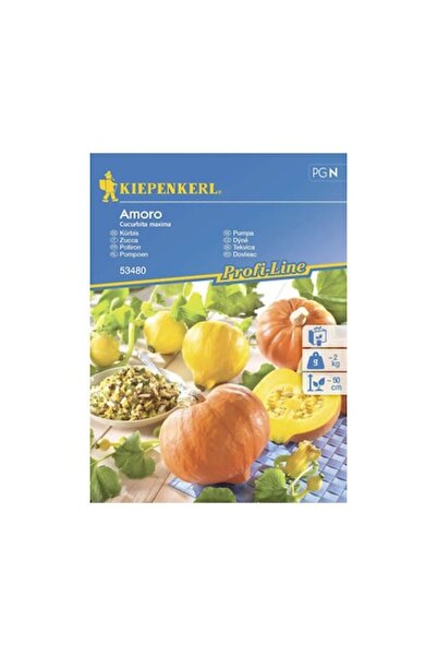 Clasic Kiepenkerl Pumpkin Amoro F1 Seeds