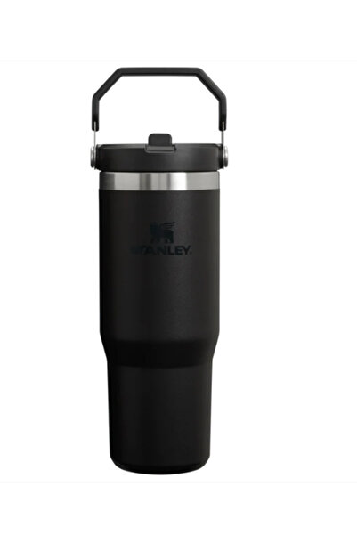Stanley The IceFlow™ Flip Straw Tumbler - 30 oz