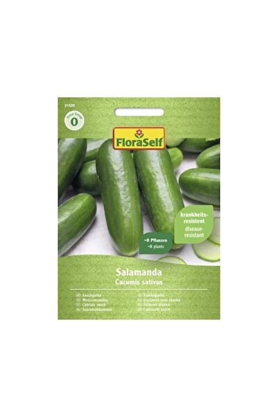 FloraSelf Cucumber Seeds Salamandra F1