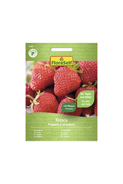 FloraSelf Strawberry Seeds Tresca Floraself, 150 gr