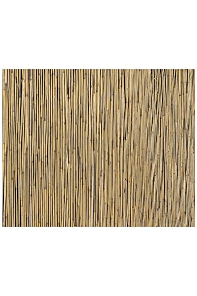 Clasic Visual Protection Reed 1x6 M