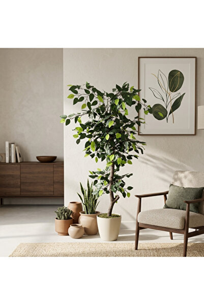 Cennet Home Soft Natura Ficus Benjamin Ağacı 140 cm Bej Saksıda Doğal Görünüm...