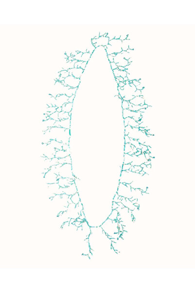 Antica Sartoria LONG NECKLACE IN TURQUOISE