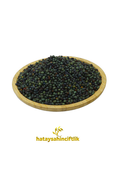 HATAY ŞAHİN ÇİFTLİK Tane Çiğ Menengiç - Kavurmalık ve Kahvelik Ham Çitlembik