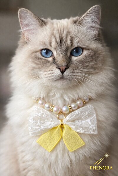 PHENORA Cute Cat Collar - Stylish Bow-Tie Design Cat Accessory