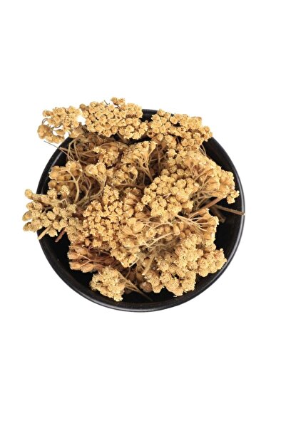 nk organik Yarrow 500gr