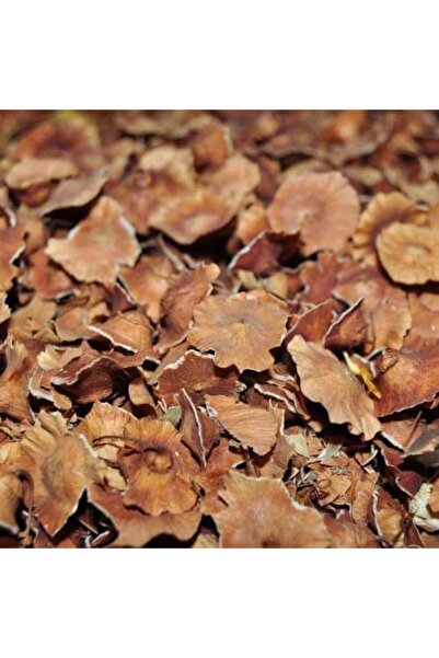 nk organik Black Bush Scale 500g