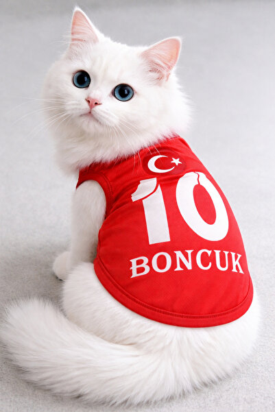 PuluPulu Kişiye Özel İsim ve Numara yazdırılabilen – Kedi Köpek Elbisesi, Evc...