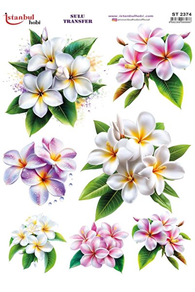 İstanbul Hobi Water Transfer Paper 25X35Cm St-2374