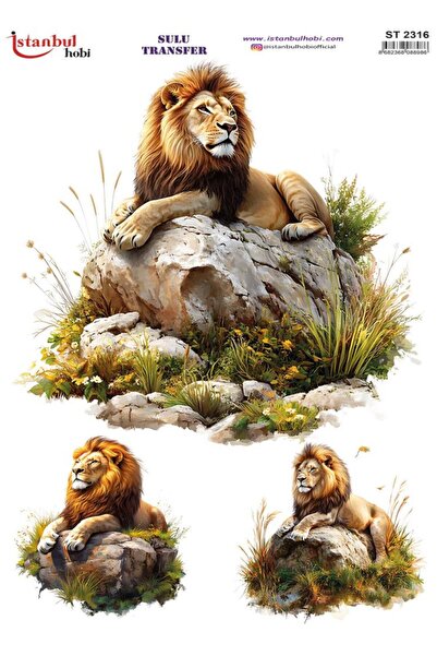 İstanbul Hobi Water Transfer Paper 25X35Cm St-2316