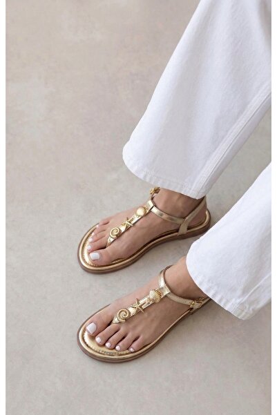 HVZ Exclusive Gold Women's Comfortable Flip-Flop Sandals with Shell Detail Olive