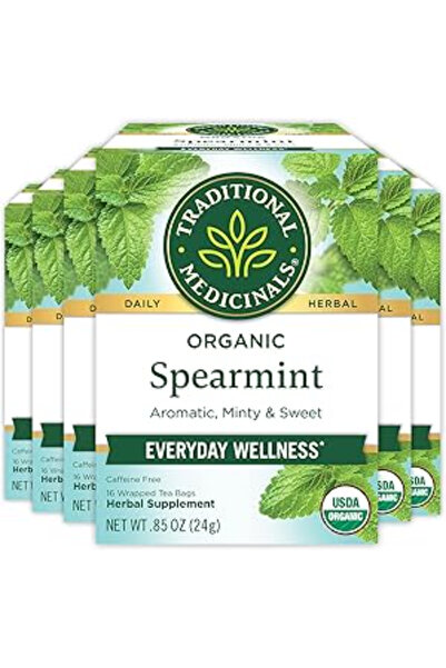 TRADITIONAL MEDICINALS شاي الأعشاب بالنعناع الأخضر العضوي من TM - 16 كيس