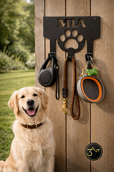 3Art Metal Dekorasyon Tic.Ltd.Şti Kişiye Özel İsimli Köpek Askılığı – Tasma &...