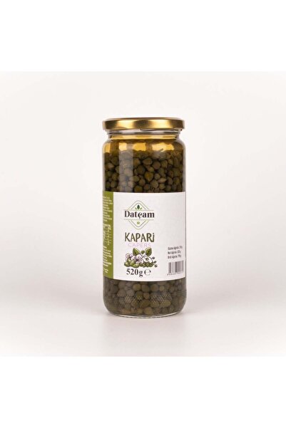 Datçam Kapari 520 G