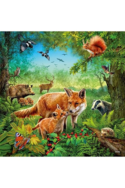 RAVENSBURGER Puzzle cu animale din pământ, 3x49 piese