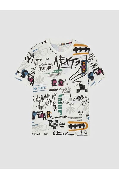 LC Waikiki Crew Neck Printed Men's T-Shirt