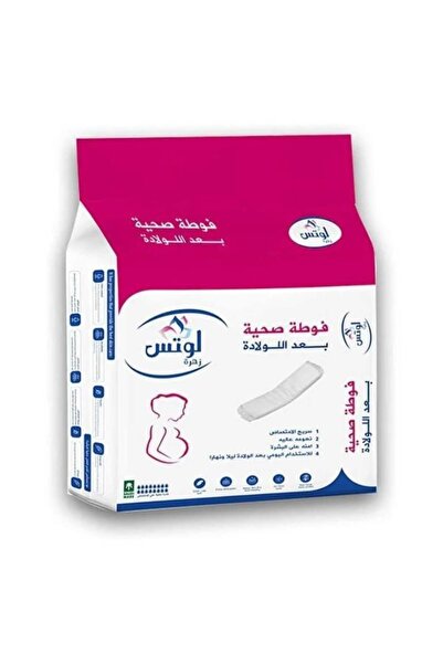 Lotus Lotus Sanitary Pads Postpartum Care 6 Packs*40 Pieces (240 Pieces)
