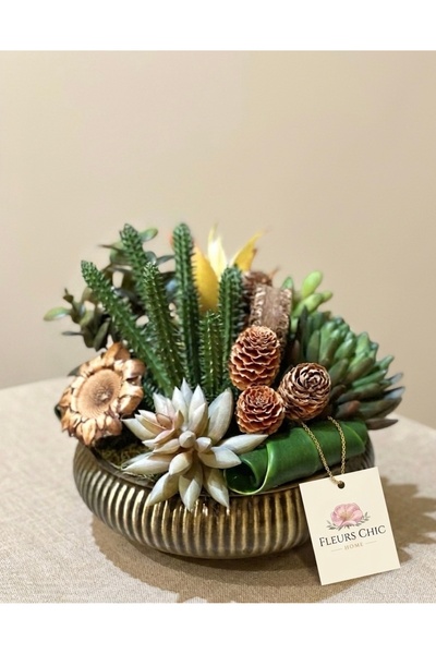 Fleurs Chic Home Ufo Eskitme Vazolu Sukulent Aranjman