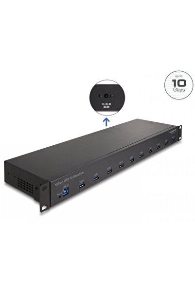 DELOCK HUB industrial 19" metalic cu 10 x USB-A 3.2, 64240