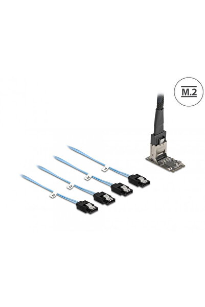 DELOCK Controller M.2 2242 Key B+M la 4 x SATA 1m, 64260