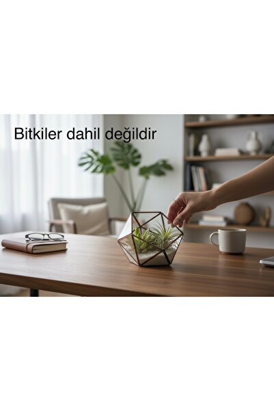 YoyoMoyo Geometrik Cam Teraryum Fanus – Modern Dekoratif Saksı