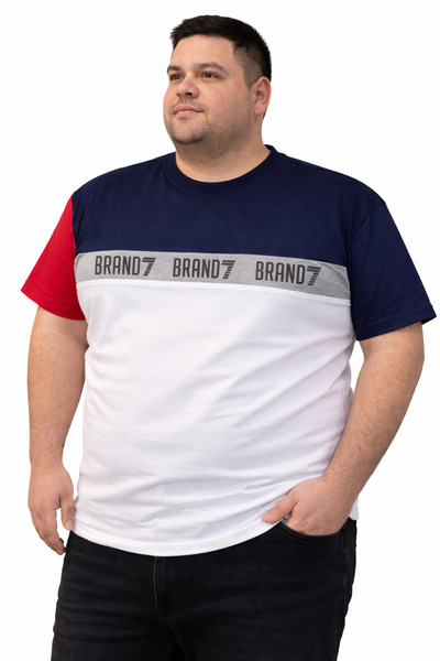 BARAN&SEREN Büyük Beden Erkek Tişört 2XL 3XL 4XL 5XL 6XL Oversize Rahat Kalıp...
