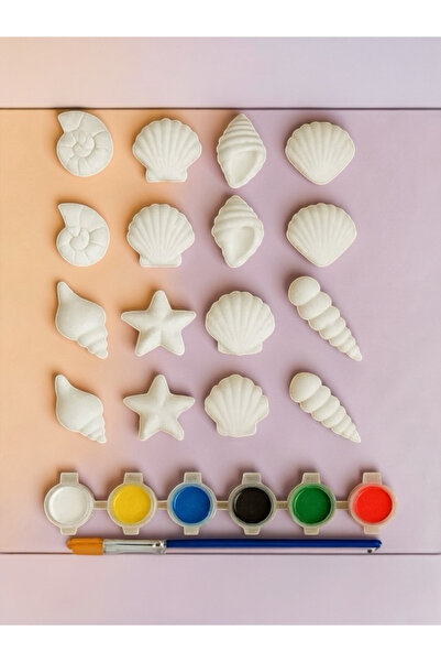 magnocandles 16 Adet Deniz Kabukları, istiridye, deniz yıldızı Taş Boyama Set...