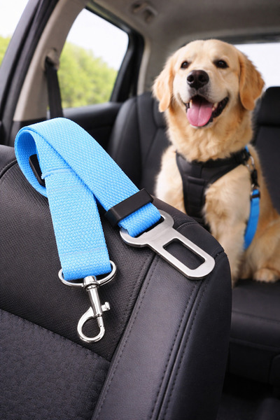 BE ACTİVE Pet Vehicle Seat Belt Cat Dog Car Auto Collar Auto Accessory Cat Do...