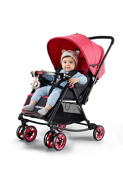 sea gulf Arabic for Children