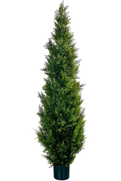 Dotail Leflos Decorative Artificial Plant, Thuja/Cypress Style, 160 cm, in a ...